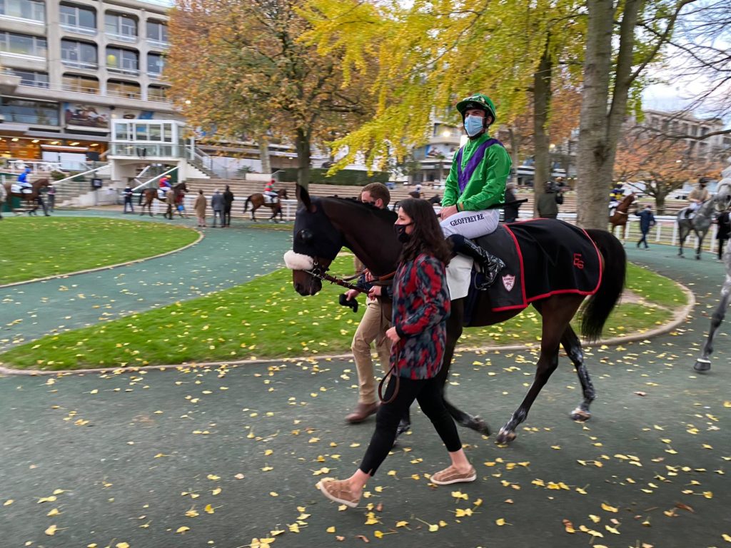 Victoire de Fences sur L'hippodrome d'Auteuil