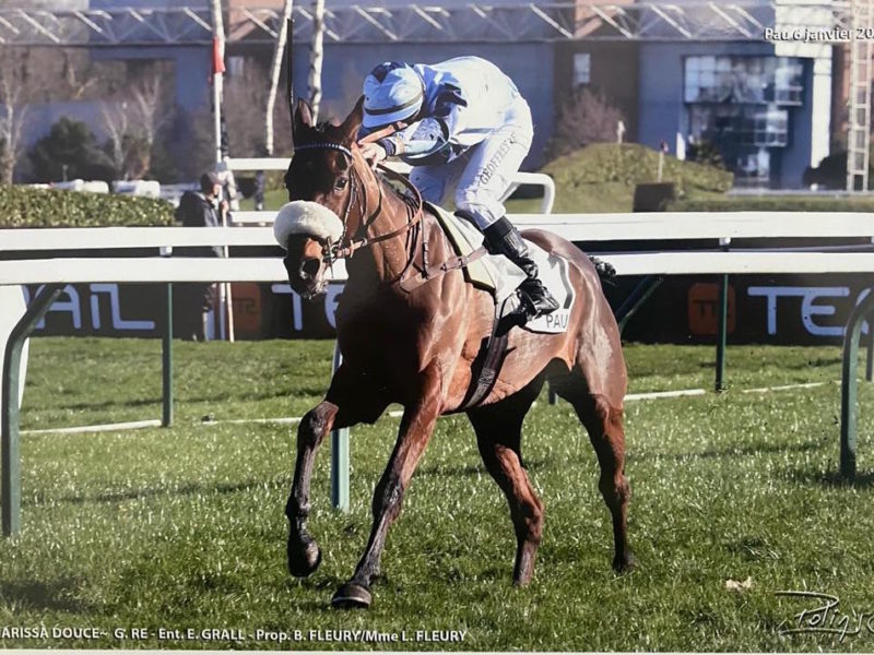 Victoire de Harissa Douce sur l’hippodrome de Pau