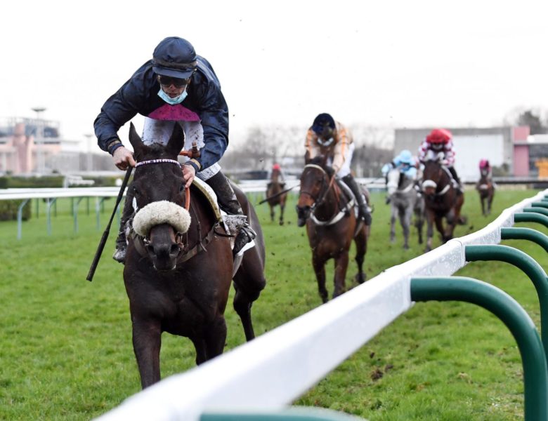 Victoire de Hardi du Mesnil sur l’hippodrome de Pau