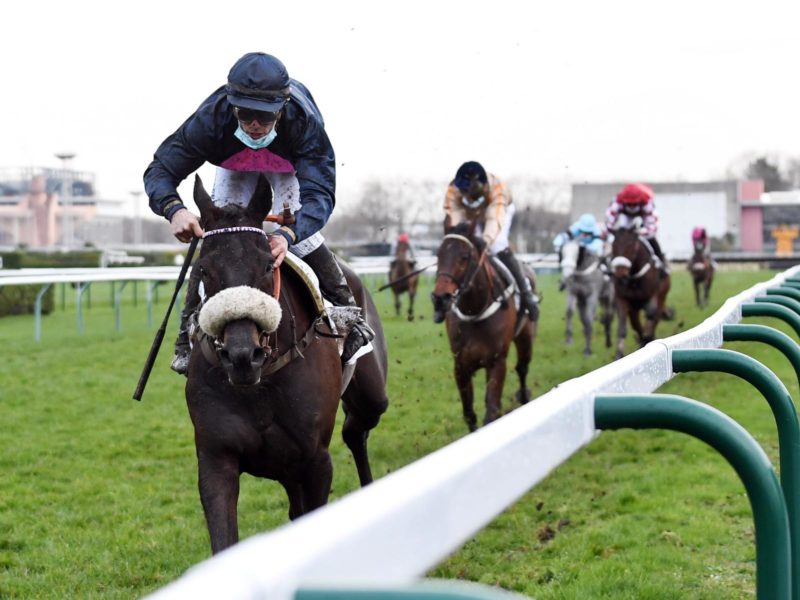 Victoire de Hardi du Mesnil sur l’hippodrome de Pau