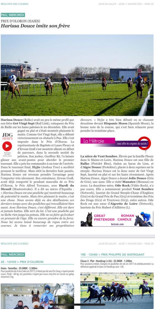 Article jour de Galop Harissa Douce