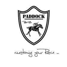 Partenaires Logo Paddock Racing