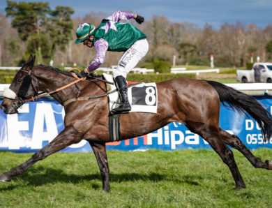 Arrivée du quinté du mercredi 1er février à Pau : Black Boa sort par la grande porte