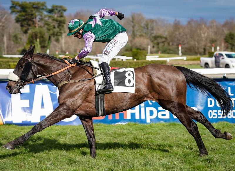 Arrivée du quinté du mercredi 1er février à Pau : Black Boa sort par la grande porte